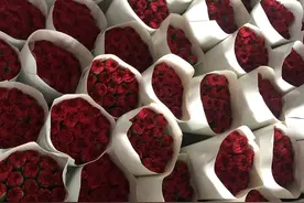 南航物流跨省空运鲜花实现当日达，运量同比增长超四成图片