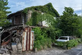 日本人口“坍塌”的缩影：850万“幽灵屋”遍布全国！杂草丛生，乌鸦在里头安家图片