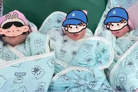 罕见！“双绒三羊”宝宝在合肥降生图片