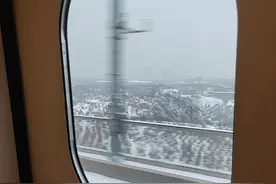 专家谈青少年心理健康：允许孩子成为平凡人过幸福生活，“进普通高中就挺好”图片