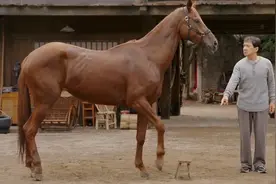 电影《龙马精神》发“我的马呀”特辑，成龙被心爱“赤兔”马踢咬图片