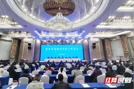 张家界高新区：凝心聚力谋发展  全面突破谱新篇图片