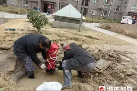 这些“贴心管家”，专治“疑难杂症”图片