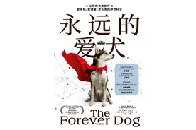 人类与狗的共生关系，如何影响我们的生活？图片