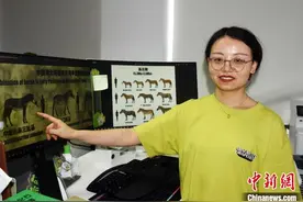 数百万年前马的祖先都吃草？中科院团队最新研究突破传统认知图片