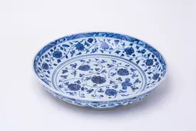 食的知识·餐具｜釉上彩好看，釉下彩好用图片