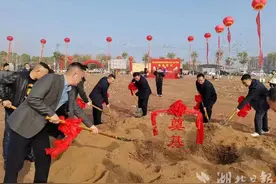 向春天出发！广水项目建设千帆竞进图片