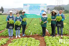 城乡统筹的“粘合剂”  盒马村在昆明探索新路子图片