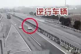高速路上逆行，司机：“我是跟着导航走的……”12分没了！图片