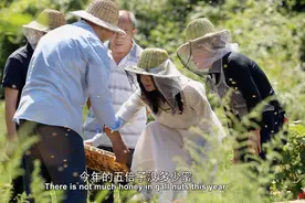 纪录片新作《追山人》市场遇冷，《最后的棒棒》导演何苦“下场”直播卖货图片