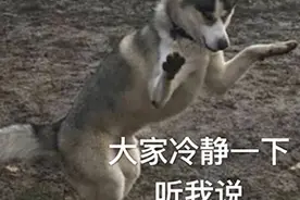 体检查出脂肪肝？快来试试这招→图片