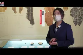 【写意中国探寻汉字起源】视频 | 一片甲骨惊天下！为你述说三千年前殷商故事图片