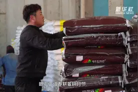 河北丰南：人勤春早备耕忙图片
