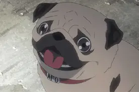 开车被远光灯“闪”，可以“闪”回去吗？图片