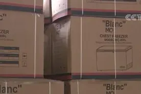 奋进的春天｜企业订单快速增长 国际货运市场活跃图片