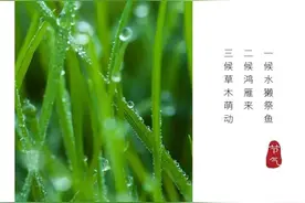 春雨贵如油图片