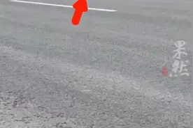 金毛马路上被撞得遍体鳞伤被过路女孩救下：遇见了就要对它负责图片