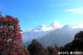 花开的时候我就来看你（1）尼泊尔喜马拉雅徒步图片