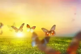 2023年中国宏观经济及税收政策展望图片