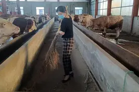 新时代新征程新伟业｜全国人大代表刘琴：乡村追梦人用勤劳双手发展特色养殖图片