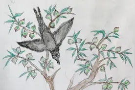 果然视频|济南81岁老人零基础学绘画！五年创作百余件作品图片