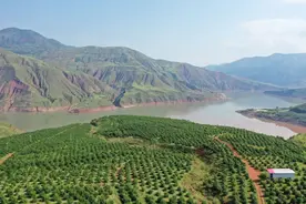 连续20年全州第一，元谋是这样做的~图片