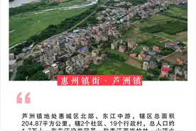 『惠州日历海报』2023年2月20日图片