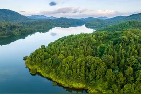 “绿”了清远生态，“美”了百姓生活｜高质量发展 清远在行动（38）图片