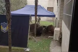 大学校区内挖出遗骸？四川大学回应：排除案件可能！图片