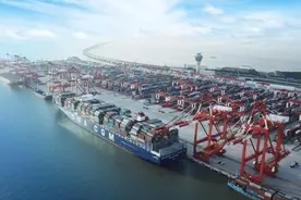 上海洋山港：在港口迎接春天图片