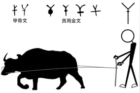 汉字历史——抽象篇（干）附古文图片