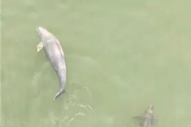 望城：织密“十年禁渔”监督网 护好一江碧水图片