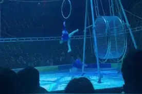 马戏团两名小女孩排练时坠落，警方：看起来没事，会送医检查图片