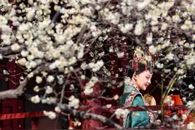 武汉东湖梅园迎盛花期 市民游客徜徉花海图片