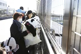 【图集】熊猫“香香”归国：旅日经济效益超27亿，民众挥泪告别“招牌女孩”图片