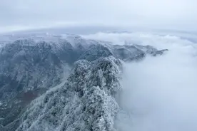 倒春寒来袭 神农架再现“玉树琼花”图片