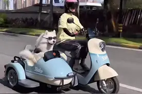 全款拿下雅迪电动“八嘎车”，甜妹实现了狂飙梦想图片