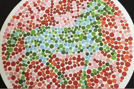 找不到隐藏的动物，可能会报不了心仪的专业图片