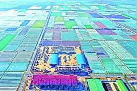 韭菜种植基地图片
