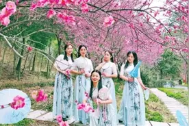 红梅枝头俏 赏梅正当时图片