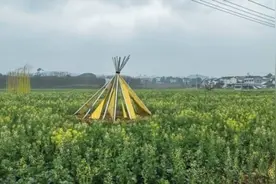 走进区域看发展｜重庆璧山七塘镇莲花穴院落项目：艺术活化 赋能蝶变图片