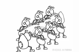 蚂蚁的成功学图片