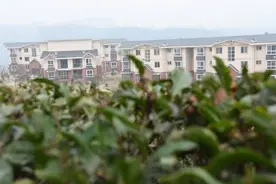 深山建起新楼房 四川荣县132户村民告别偏僻民居搬进新家图片