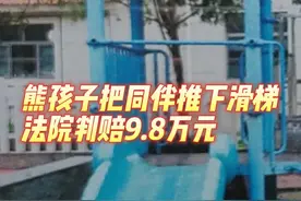 熊孩子把同伴推下滑梯致骨折，遭索赔14万元图片