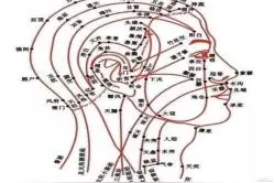 困意退散！这份逃离“春困”指南快快学起来图片