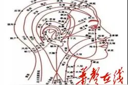 困意退散！这份逃离“春困”指南快快学起来图片