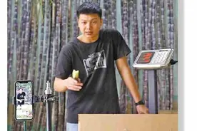 横石水镇黑皮甘蔗急寻销路图片