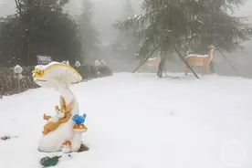 春雪落巫山 仙境如梦来图片