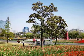 春日踏青好去处！乘坐地铁即可直达这些公园→图片
