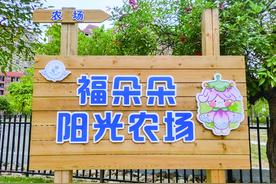种在阳光下图片